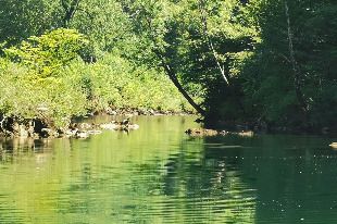 In der Kupa schwimmen